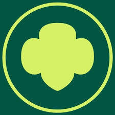 Team Page: Troop 54012